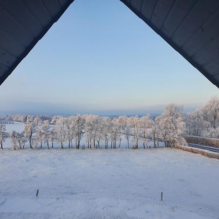 Eifel Glueck Apartment Hurtgenwald Bagian luar foto